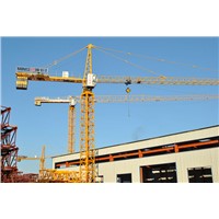 Ce Approved Building Tower Crane Qtz63 (5610) ISO9001
