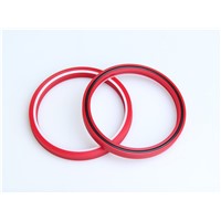 U-cup seal loaded O ring seal combined rod seal