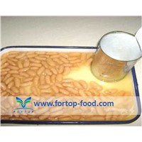 Chinese Canned White Kidney Bean in Brine /in Tomato Sauce