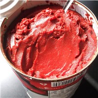 Canned Tomato Paste Brix 28-30%