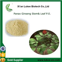 anax ginseng C. A. Mey from ginseng stem&amp;amp;leaf 75-95%UV ginsenosides