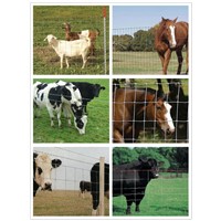 Agriculture Field Farm Live Stock Fence