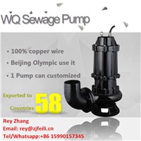 5hp Submersible Mud Pump with Flange Electric Submersible Sewage Pump 440v with Coupling Device