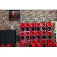 450W Professional Stereo Wooden Horn Audio PA Speaker