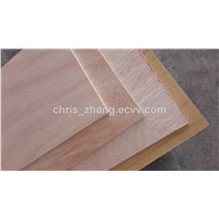 Multi-Layer Commercial Plywood ,Furniture Grade Eucalyptus Plywood with E1 Glue