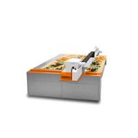 UV printer Flatbed direct printer Inkjet printing machine wall panel printer