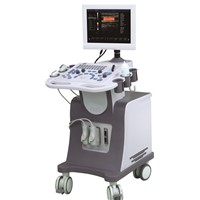 HOT Color doppler ultrasound factory price with ultrasound printer