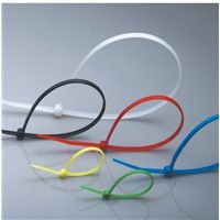 Rohs Cable Plastic Ties