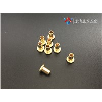 Steel and stainless steel and Brass Eye Rivet