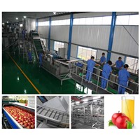 apple pear juice production line