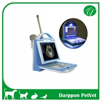Portable B/W Ultrasound Scanner for Human (KX5600)