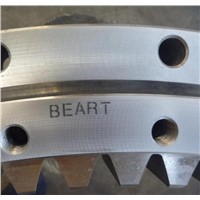 Chian Slewing Bearing, Slewing Ring Supplier from China, Slewing Bearing Maker 9I-1B50-0970-1166