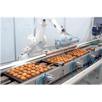 Fully Automatic Industrial Palletizing Robot for Food Packaging