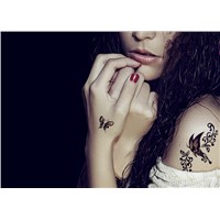 Beautiful Cute Sexy Body Art Beauty Makeup Cool Paper Airplane Waterproof Temporary Tattoo Stickers for Girls &amp;amp; Man