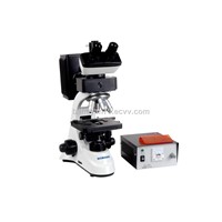 Biobase Fluorescence Biological Microscope with Binocular Head XY-1