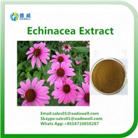 Botanic Extract Echinacea Extract CAS No: 6537-80-0