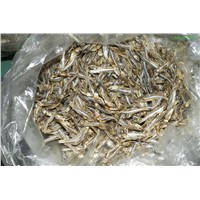 Dried Anchovy Fish from Vietnam for Sri Lanka Dried Anchovies High Quality