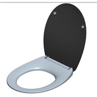 Slim Design WC Toilet Seat Cover with Soft Close &amp;amp; Quick Release Function for Bathroom