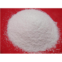 Octopamine Hydrochloride Cas No. 770-05-8 Factory Supply