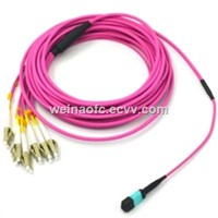 Fiber Optic Patch Cord MPO-LC Multimode OM4 12 Cores