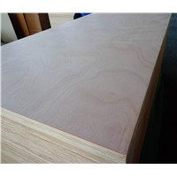 Brand Name 18mm Bintangor Plywood Poplar Core for Packing