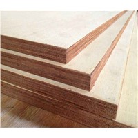 18mm Bintangor Plywood Poplar Core for Packing/Furniture/Construction