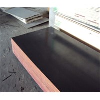 Cheap Price for Birch Brown Film Faced Plywood