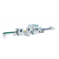 Automatic Spray Painting Line for Doors, Furniture Panels