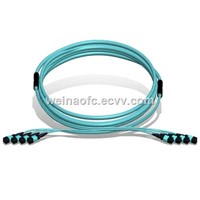 Fiber Optic Patch Cord MPO-MPO 96 Cores Fibers OM3 Multimode LSZH