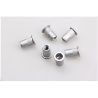 High-Quality Aluminum/Stainless Steel Blind Rivets Nut