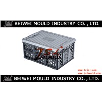 Two Cavity Injection Plastic Crate Mold