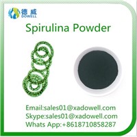 Factory Supply 100% Natural Extract Powder of Organic Spirulina