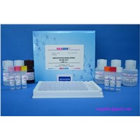 REAGEN Gentamicin ELISA Test Kit