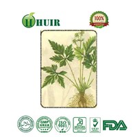 High Purity Herbal Powder Berberine Hydrochloride CAS633-65-8