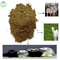 65%~72% Pprotein Fish Meal Animal Feed