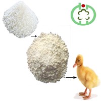 Rice Protein Meal Animal Feed