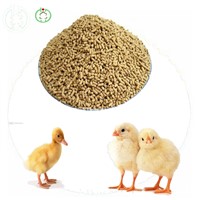 Lysine HCL Feed Additives Poultry Feed