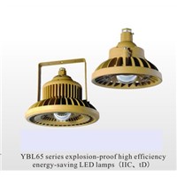 YBL Series Explosion-Proof High Efficiency Energy-Saving LED Lamps(IIC, TD)