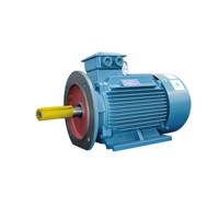 YSB Special Three Phase Asynchronous Motor for Pipeline Pump