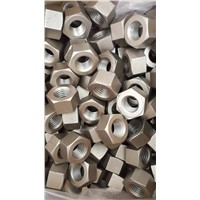 Alloy Hex Nut