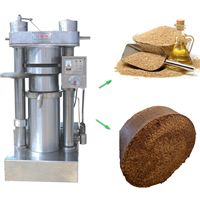 Hydraulic Automatic Oil Presser for Cocoa Beans Pressing