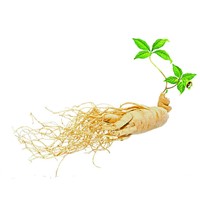 Red Ginseng, American Ginseng Extract, Siberian Ginseng Extract