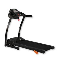 Motorized Treadmill MT420