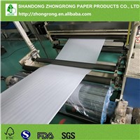 PE Coated Paper Cup Raw Material in Roll/Sheet