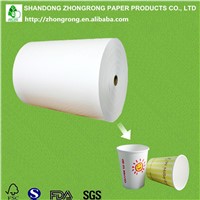 One Side PE Coated Cup Stock Paper