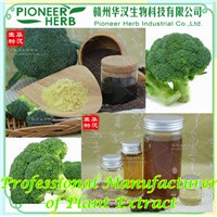 Glucoraphanin, Broccoli Seed Extract, Broccoli Extract Manufacturer
