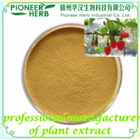 Barbury Wolfberry Fruit Extract, Lycium Barbarum Polysaccharide