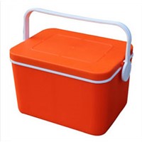 Roloo Cooler Box 2L