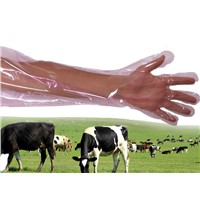 Veterinary 35 Inch Length Equine Artificial Vagina Embryo Transfer Palpation Gloves