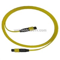 Optical Fibre Patch Cable MPO-MPO Singlemode 12 24 Cores Fibers